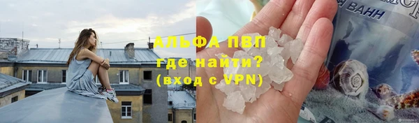 дурь Ельня
