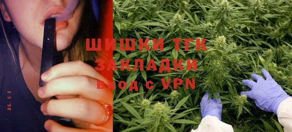 spice Алексин