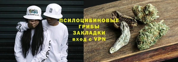 spice Алексин
