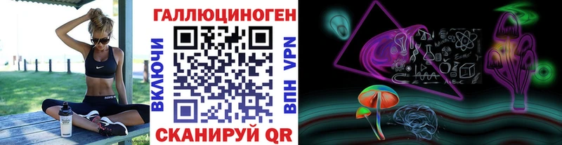 mega tor Находка Галлюциногенные грибы GOLDEN TEACHER
